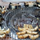 섯다장어 이미지