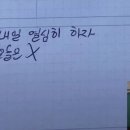 멍멍아 이미지