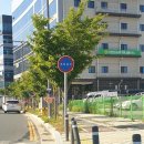 새움3로(서) 이미지