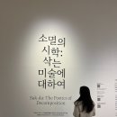 재봉틀로만드는일상(야간) | 미술관에서 썩어가는 작품? MMCA 서울 야간 개장 소멸의 시학 무료 관람 후기