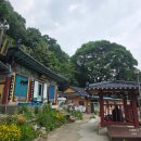 충주 중앙탑면 장천1길 충북 네이버블로그