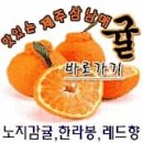 탐라주유소 이미지