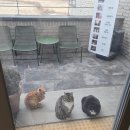 UR(파주시)-[교하로]-하-42 | [네이쳐스파] : 경기도 파주시 심학산아래에 위치한 고급지고 조용히 힐링가능한 노천탕있는 불가마...