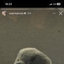 포미슈가링 이미지