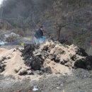 대풍한우농장 이미지