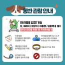 펫21 (Pet21) 이미지