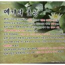 참게랑메기랑 이미지