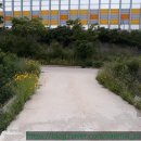 동화천자전거길 이미지