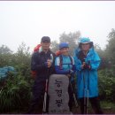 백구정민박 | 백두대간 제29구간(고루포기산) 마지막 남은 고랭지 채소밭을 지나고..