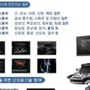 속튼튼의원 이미지
