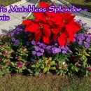 해운대거리 이미지