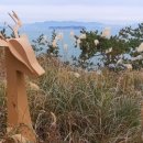 섬어부밥상 이미지