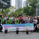 엘리의 정원 이미지