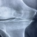 노원스카이정형외과의원 이미지