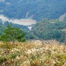 발구덕끝 이미지