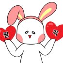 부전생닭 이미지