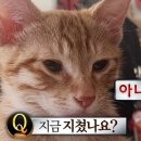 잠꾸러기 이미지