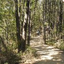 수리산둘레길 이미지