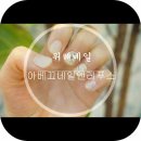 아베끄네일앤레푸스 이미지