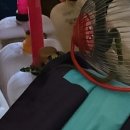 수야농장 이미지