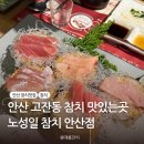 안산 고잔동참치 고잔동맛집 안산맛참치 추천 노성일참치 안산점 후기