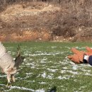 광주광역시야생동물구조관리센터 이미지