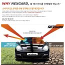 JP드림카 | [진주 PPF전문점 + 썬팅] BMW M4 컴페티션 넥스가드 TP300 썬팅 + 클리프디자인 PPF 시공 By 모토모