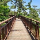 삽교천자전거길 이미지