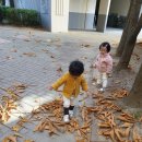 다현어린이집 이미지