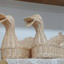 자연을 엮는 라탄공예 이미지