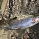 활주로낚시터 이미지