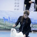 코스모인터 이미지