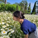 카페 데이지 이미지