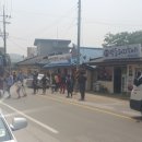 수애리 이미지