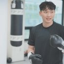 역동복싱 이미지