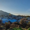 전주이씨 선성군파 명산종중묘역 이미지