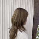 데이지미용실 이미지