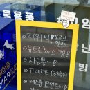 도그마캣김포라베니체점