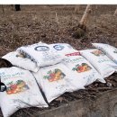 수청농장 이미지