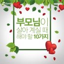 10월24일 금요일 ㅡ어제비가 약간후로ㅡ추워진다니ㅡ오늘은 쌀쌀합니다 ㅡ 이미지