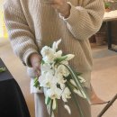 아화플레르 이미지