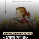 우정농장 | 우정과 성장 이야기 어린이 도서 《샬롯의 거미줄》 독서 후기