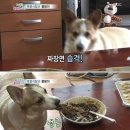 금강손세차 | 오늘의 할 일.