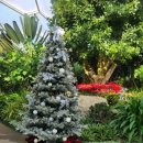 부천호수식물원 수피아 이미지