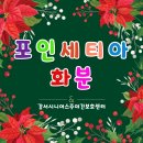 강서시니어스주야간보호센터 이미지