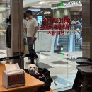 [여의도 IFC몰 애견동반 맛집]“썬더롤스” 내돈내산 솔직후기 | 아메리칸 샌드위치&amp;버거