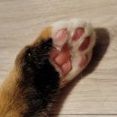 여러분 | 법무사 연수 제1주차 후기 - 여러분 저 됐어요!!!!