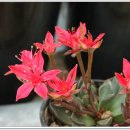 저두농장 이미지