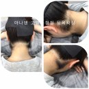 아나덴슈가링왁싱고양화정점 이미지