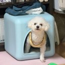 [10월 재능나눔] 행복한 엄마의 명상(마음챙김) | 12월 too fast to me